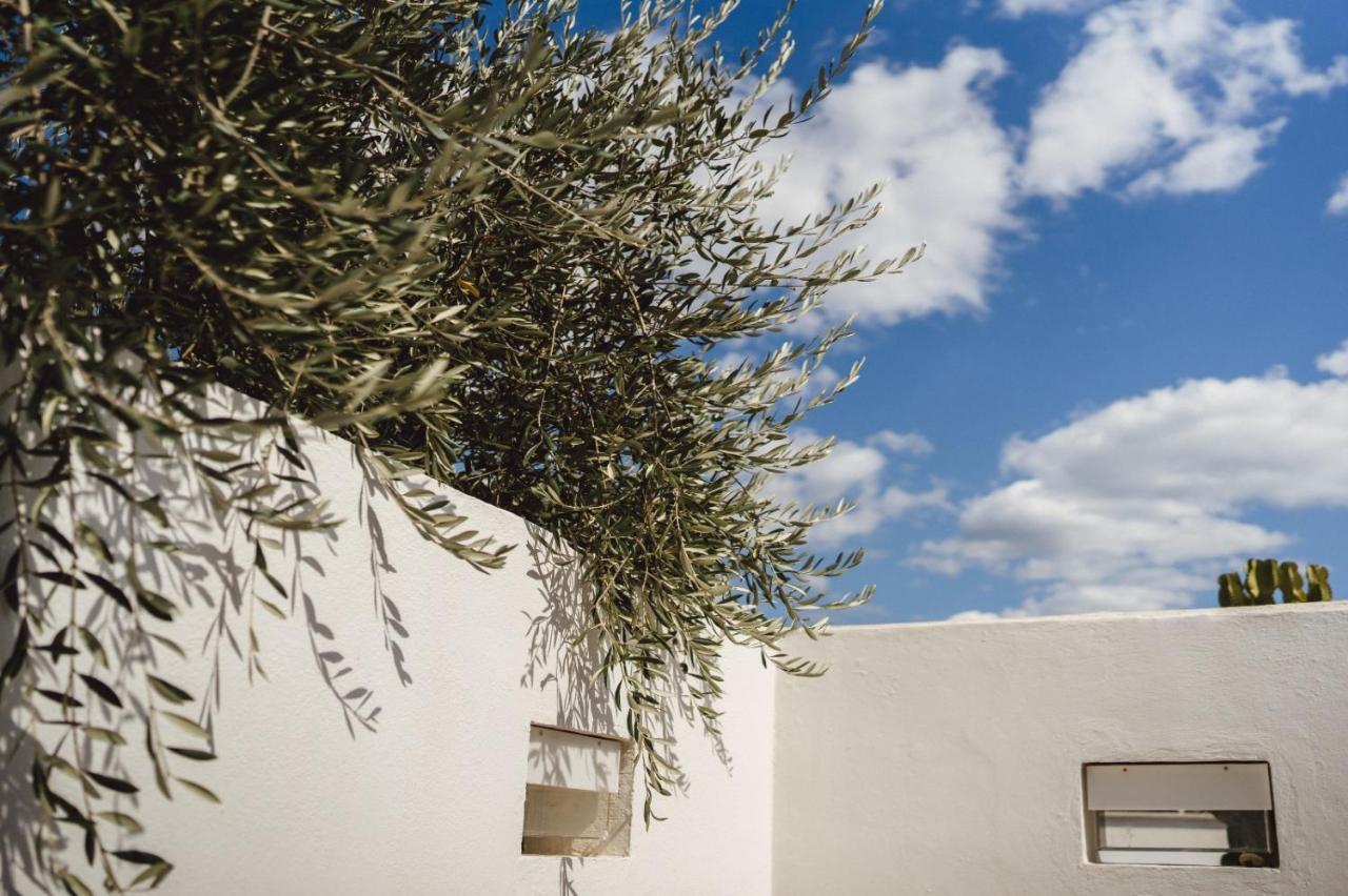 Le Ruve Bianche Apartment Vibonati Exterior photo